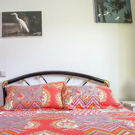 Quinta Toca Do Mocho * Quelfes