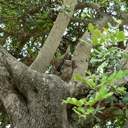 Villa Quinta Toca Do Mocho *