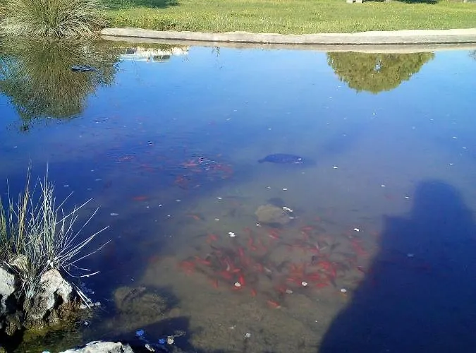 Quinta Toca Do Mocho