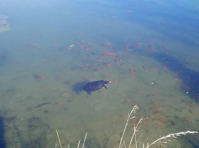 Quinta Toca Do Mocho Quelfes