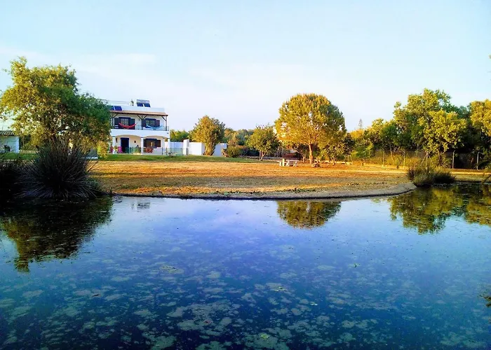 ヴィラ Quinta Toca Do Mocho *