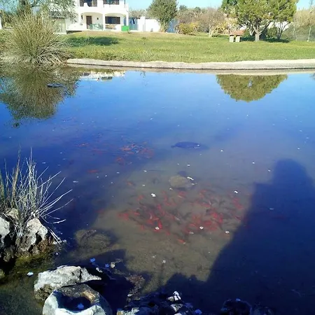 Quinta Toca Do Mocho