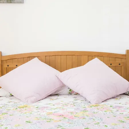 Quinta Toca Do Mocho *