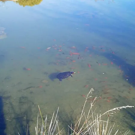 Quinta Toca Do Mocho Quelfes