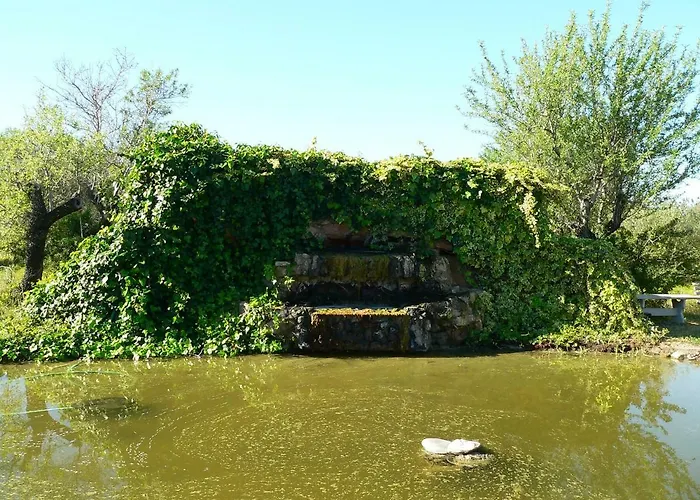 Quinta Toca Do Mocho Quelfes